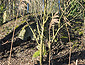 Kleinst-Erdbunker Schmidtsh&ouml;rn 5 in Schmidtsh&ouml;rn