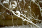 Kleinbunker Flakstellung Stadtpark 2