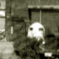 Kriegsmarinewerftgel&auml;nde, Splitterschutzzelle